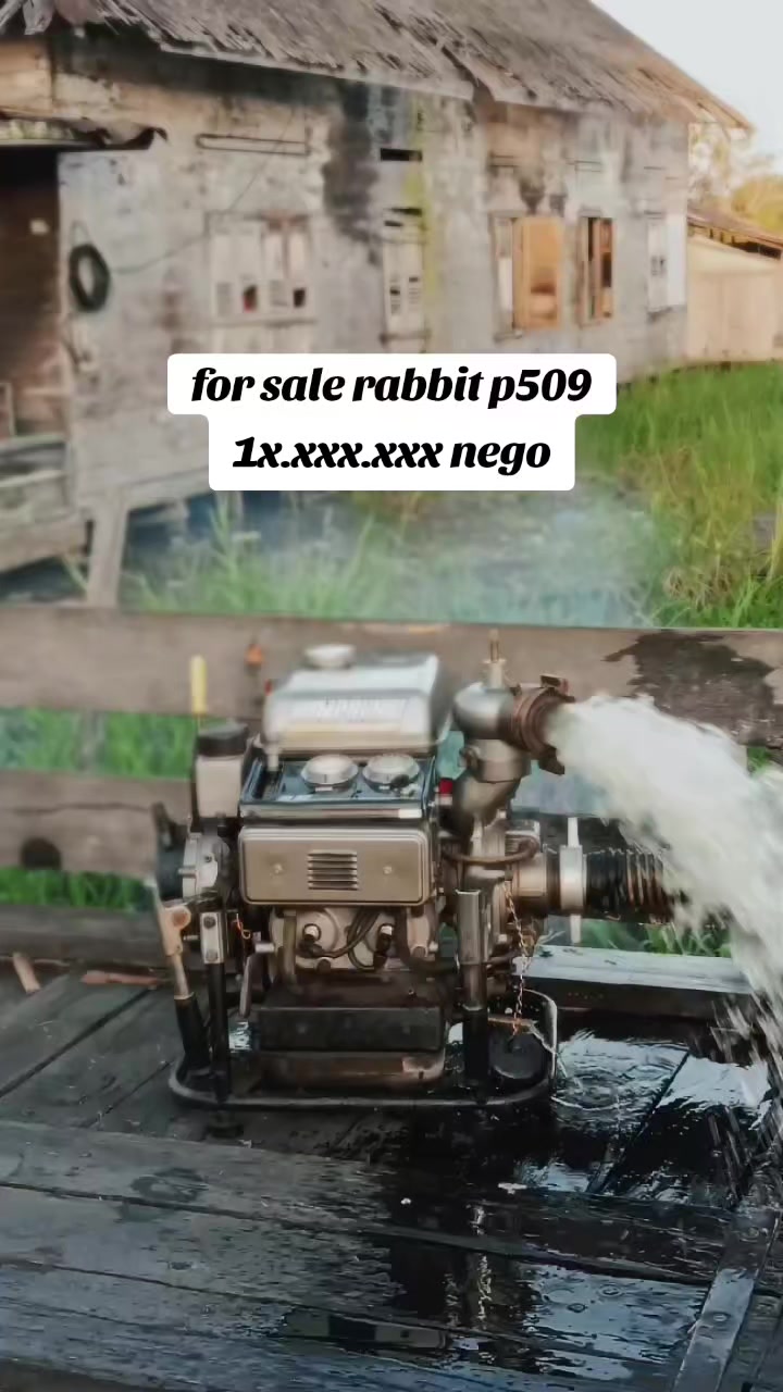 @rynn