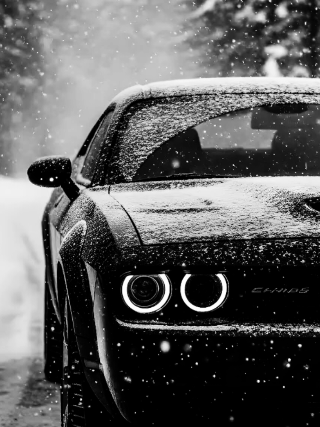 @Panter Black
