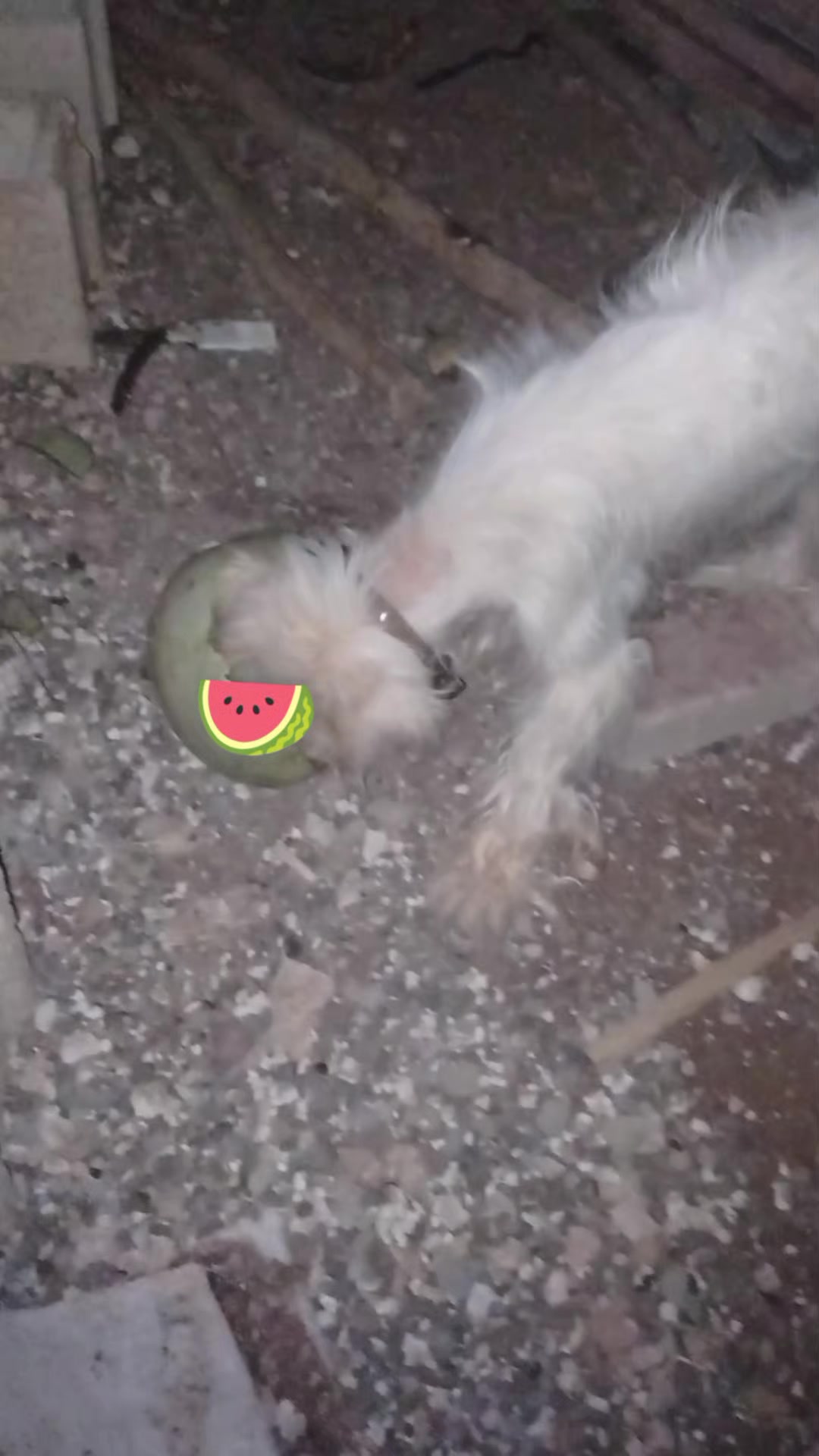 @Barbaros&Ccedil;iftliği