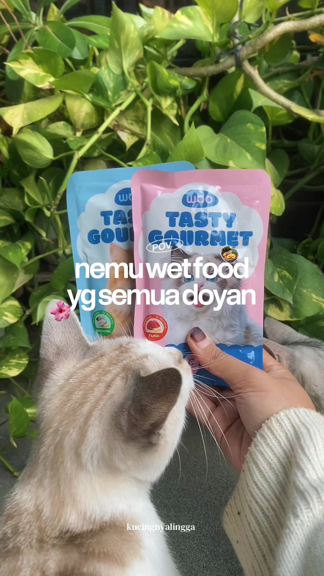 @kucingnyalingga🍉