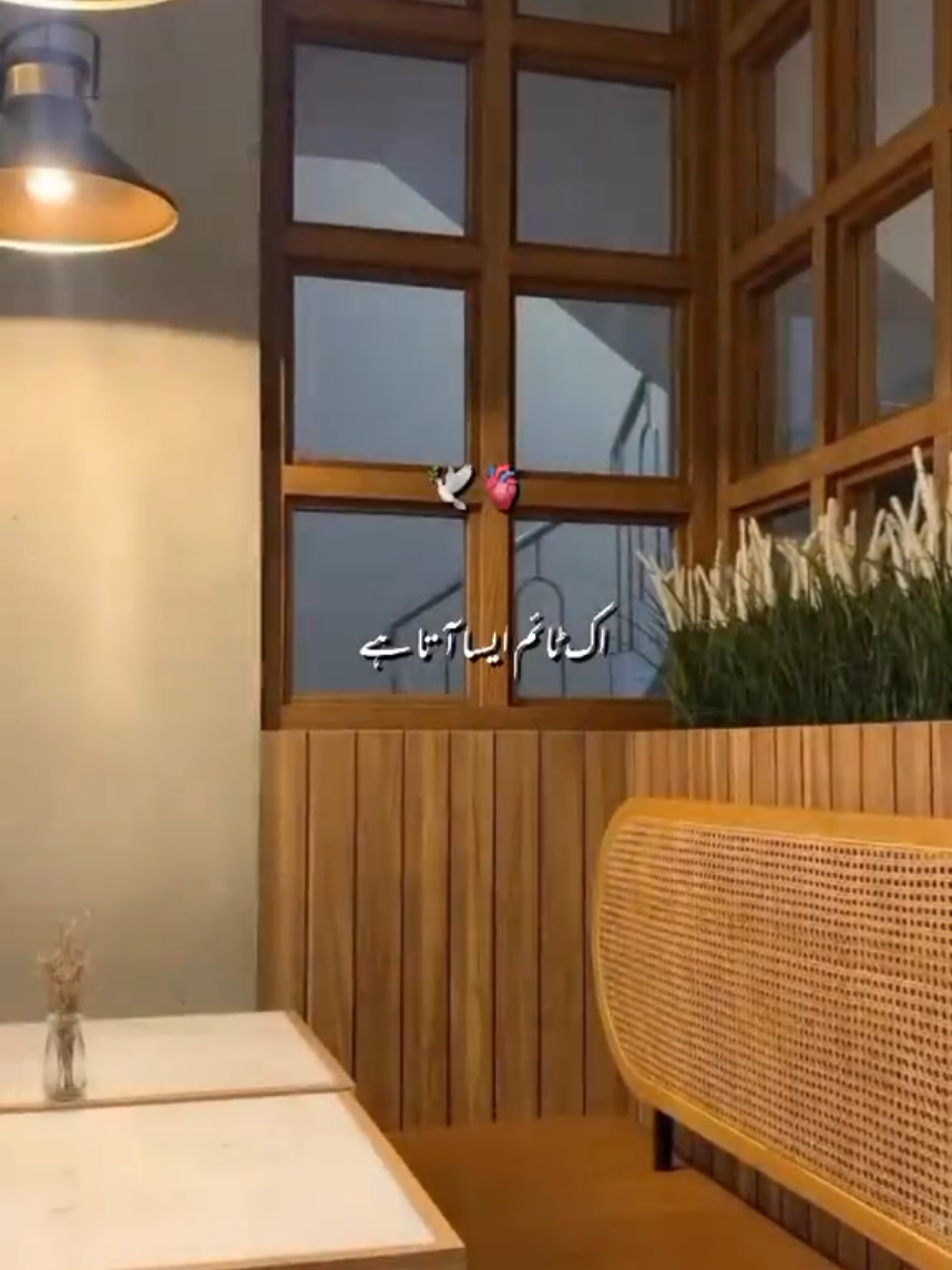 @Fiza Rao