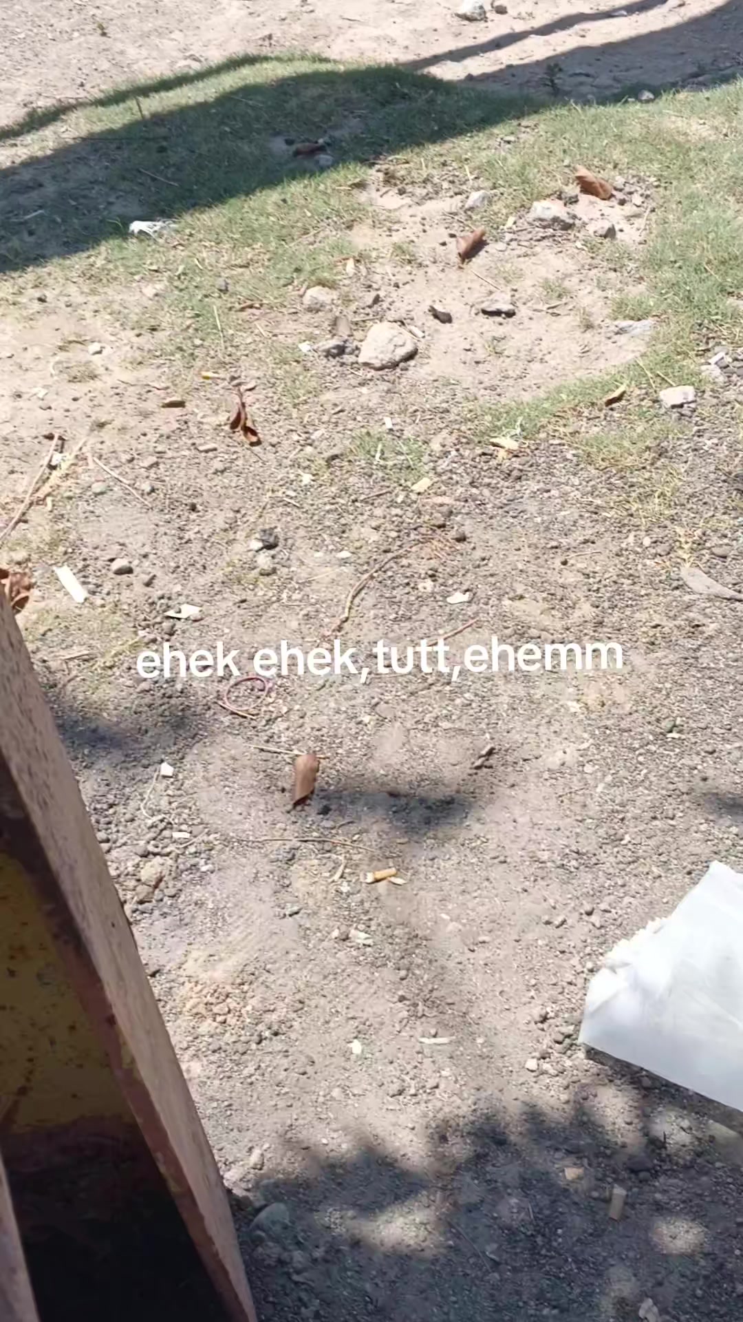 @⚡⚡