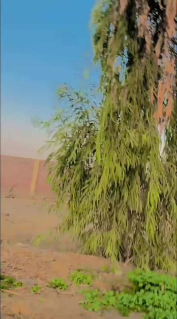 @bilawal7.0