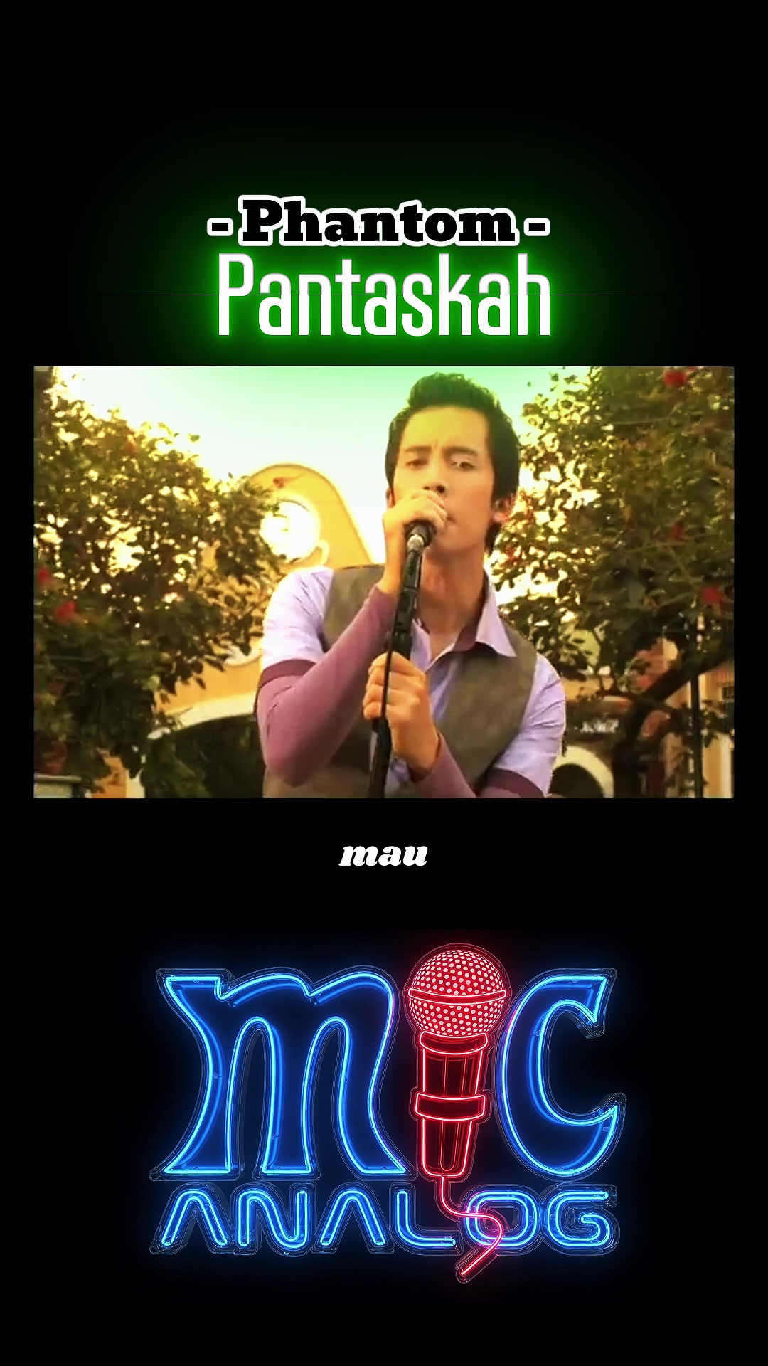 @mic analog