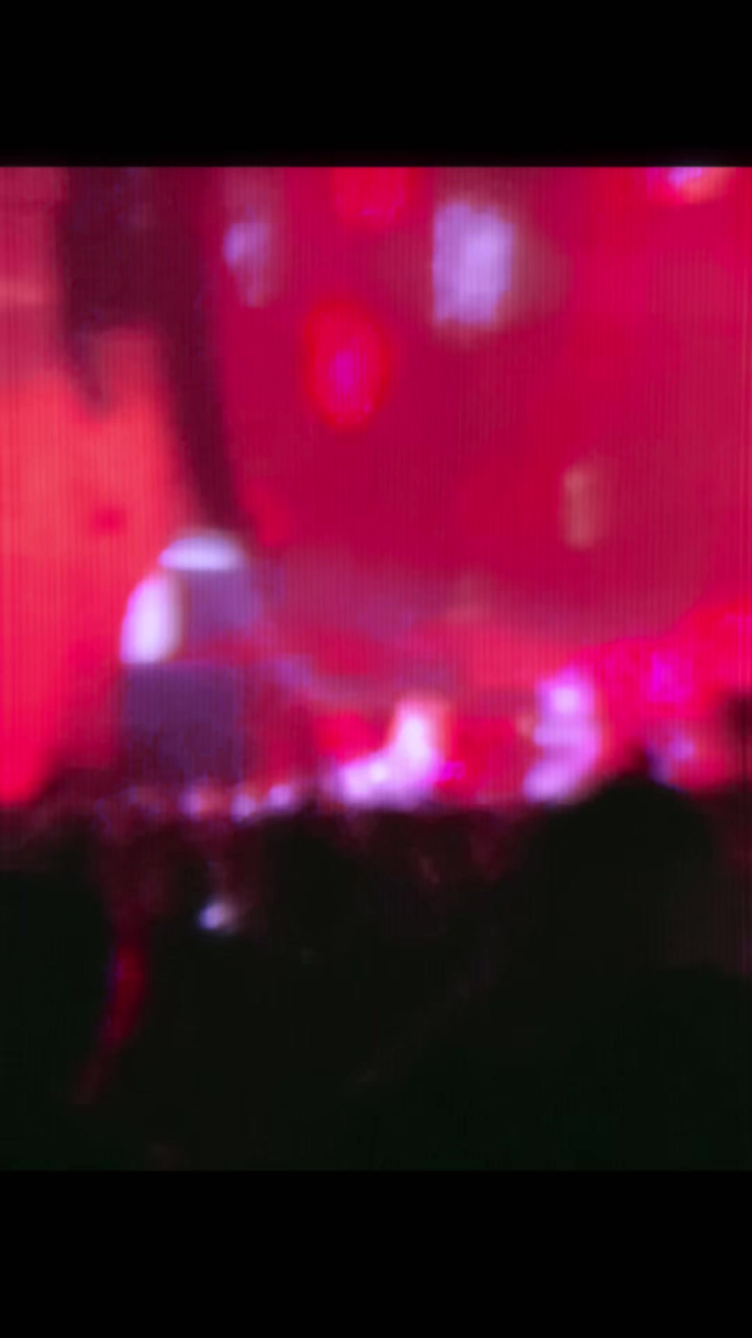 @🫚♛•N8•♛🫚