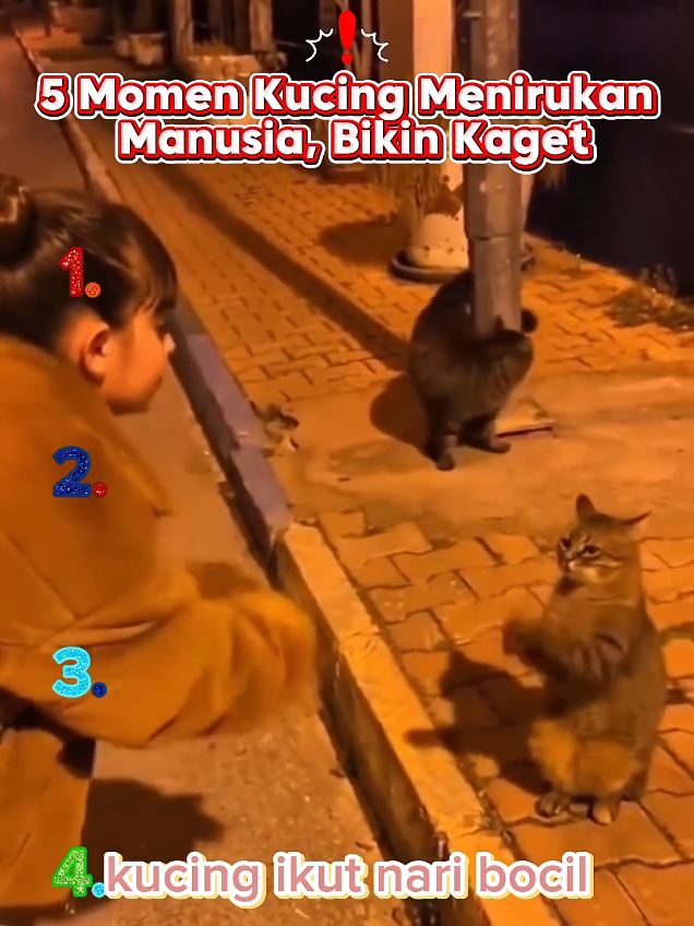 @NUNA TEMPLATE