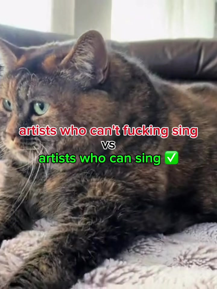 @𐙚₊˚⊹artie ꒱ ₊˚⊹ ᰔ.