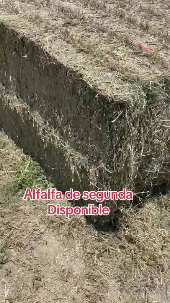 @Pablo Villarreal