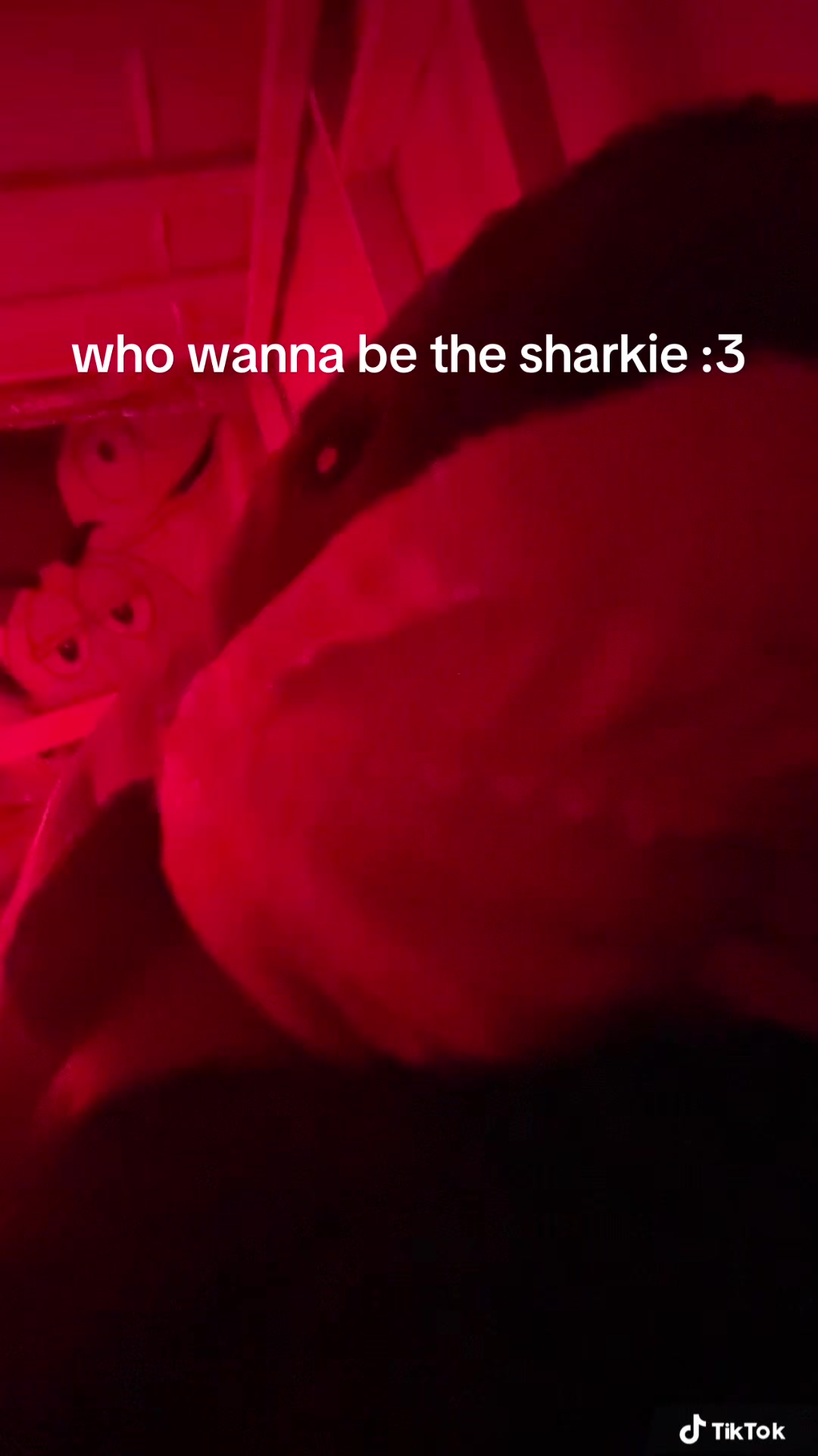 @6wrexx