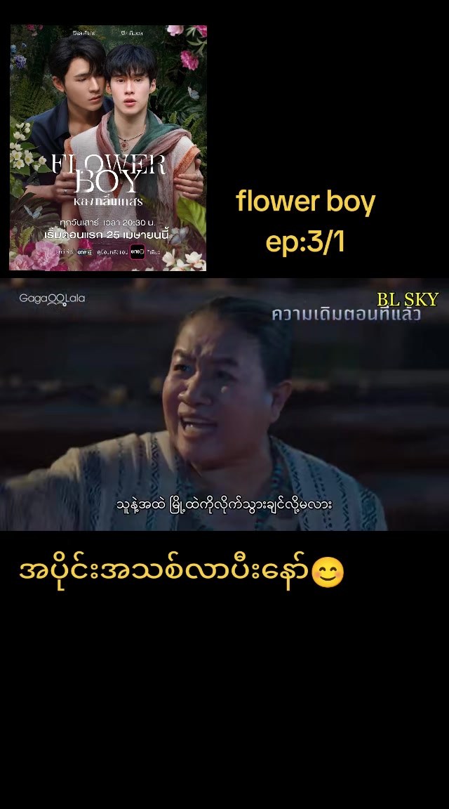@pp(bl fan)