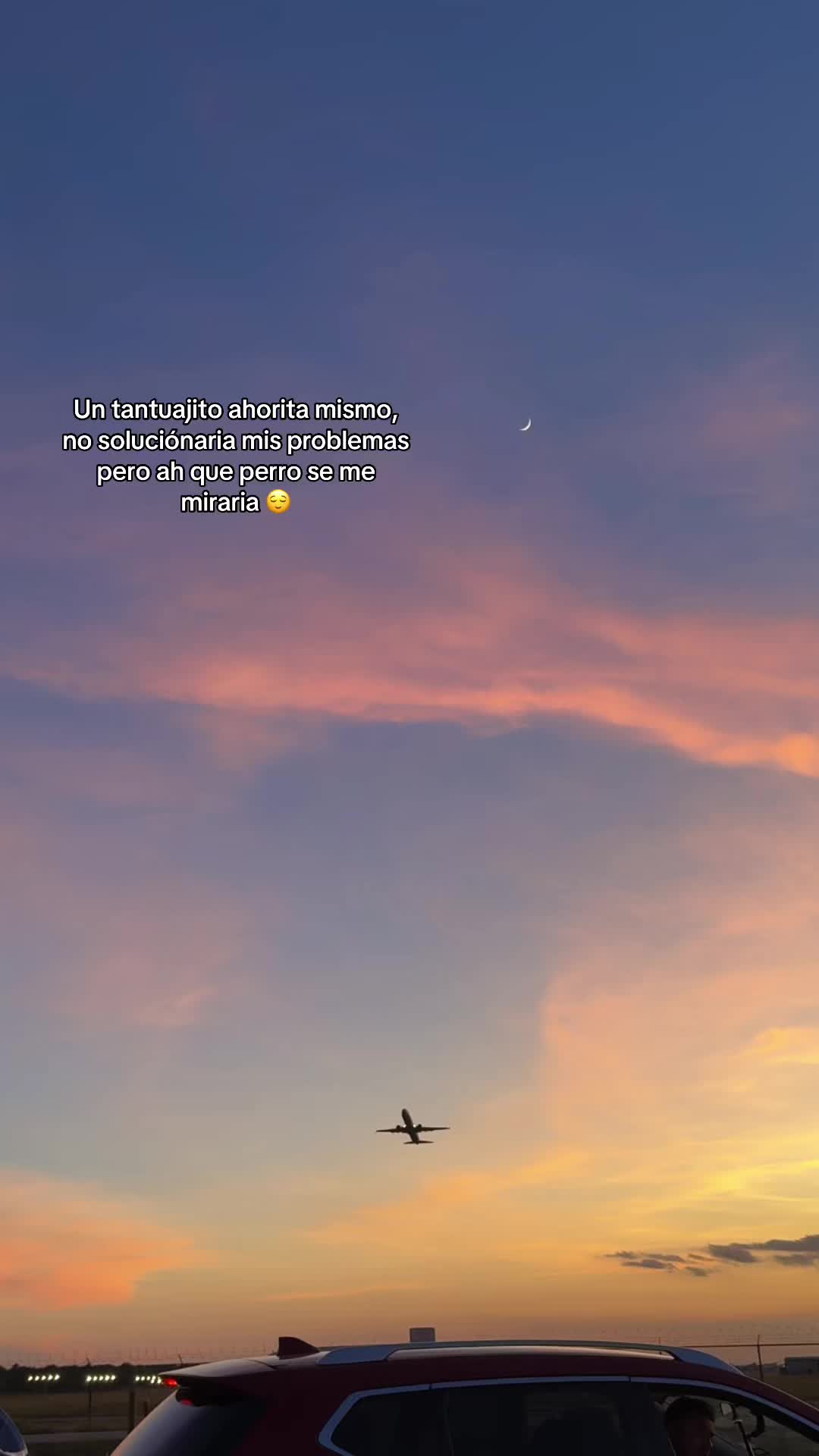 @Liz ✈️