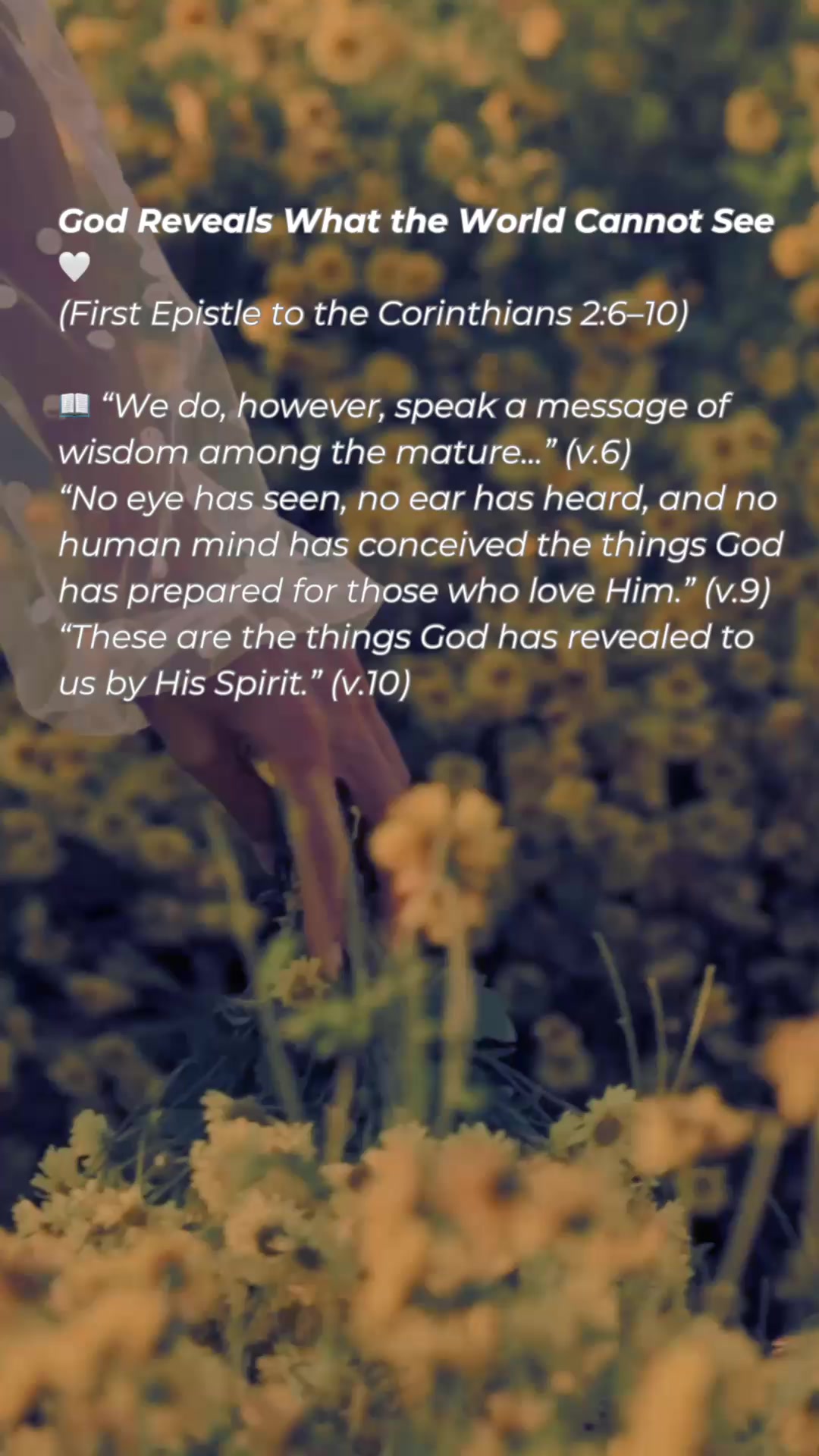 @daily.faith.reflection