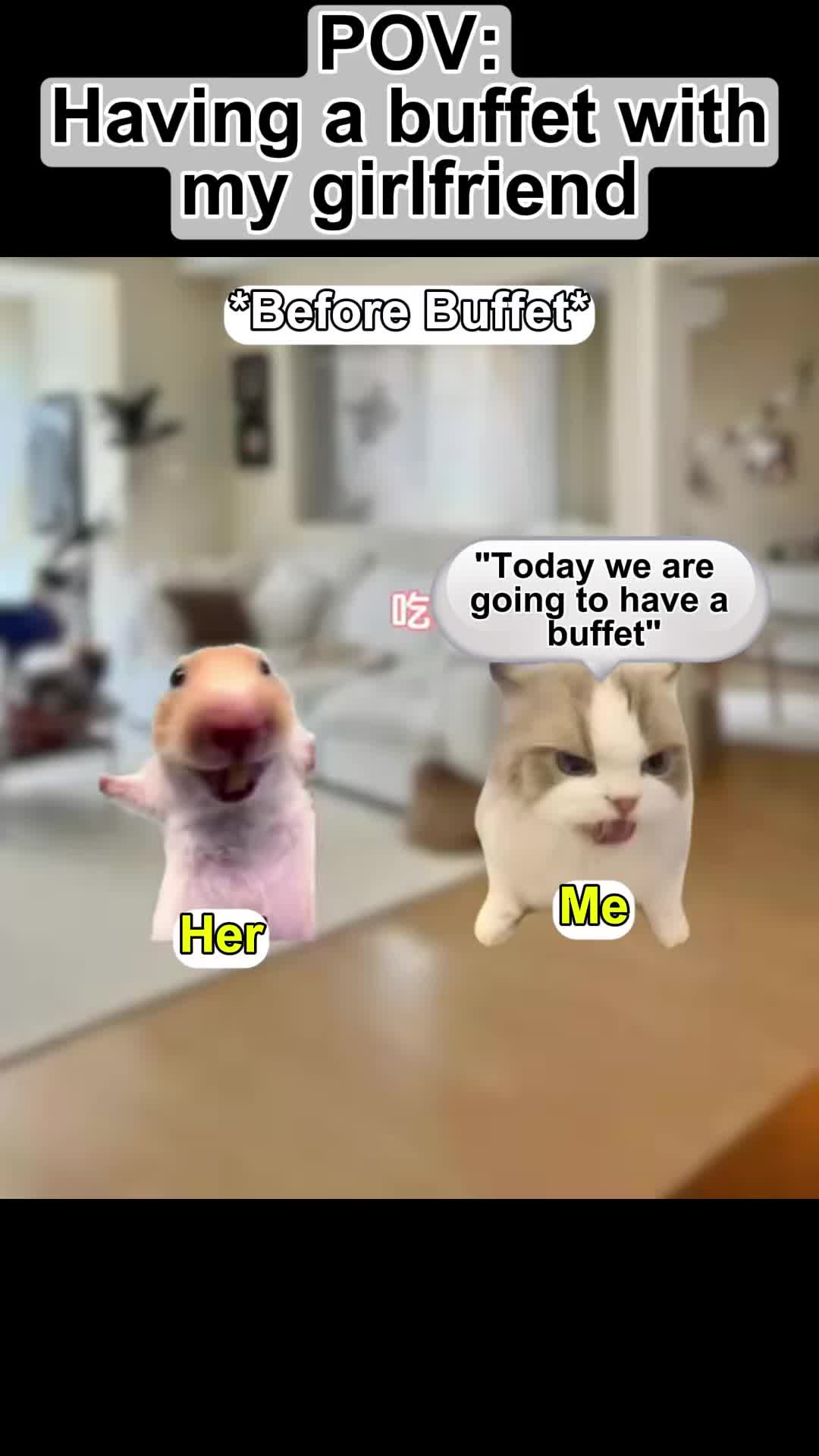 @Meme Meow 🐈🐈⬛