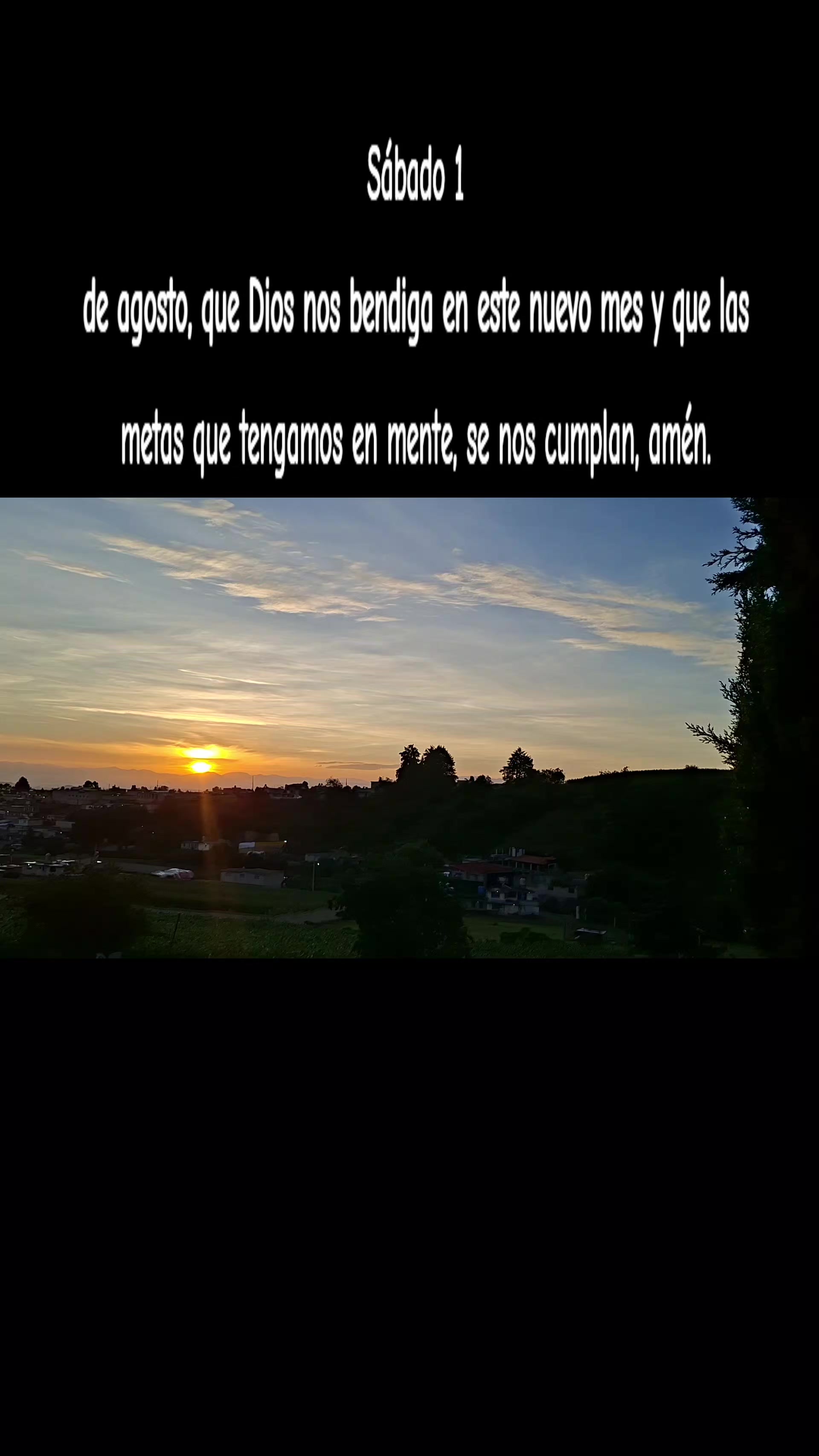 @Paolita 🐢