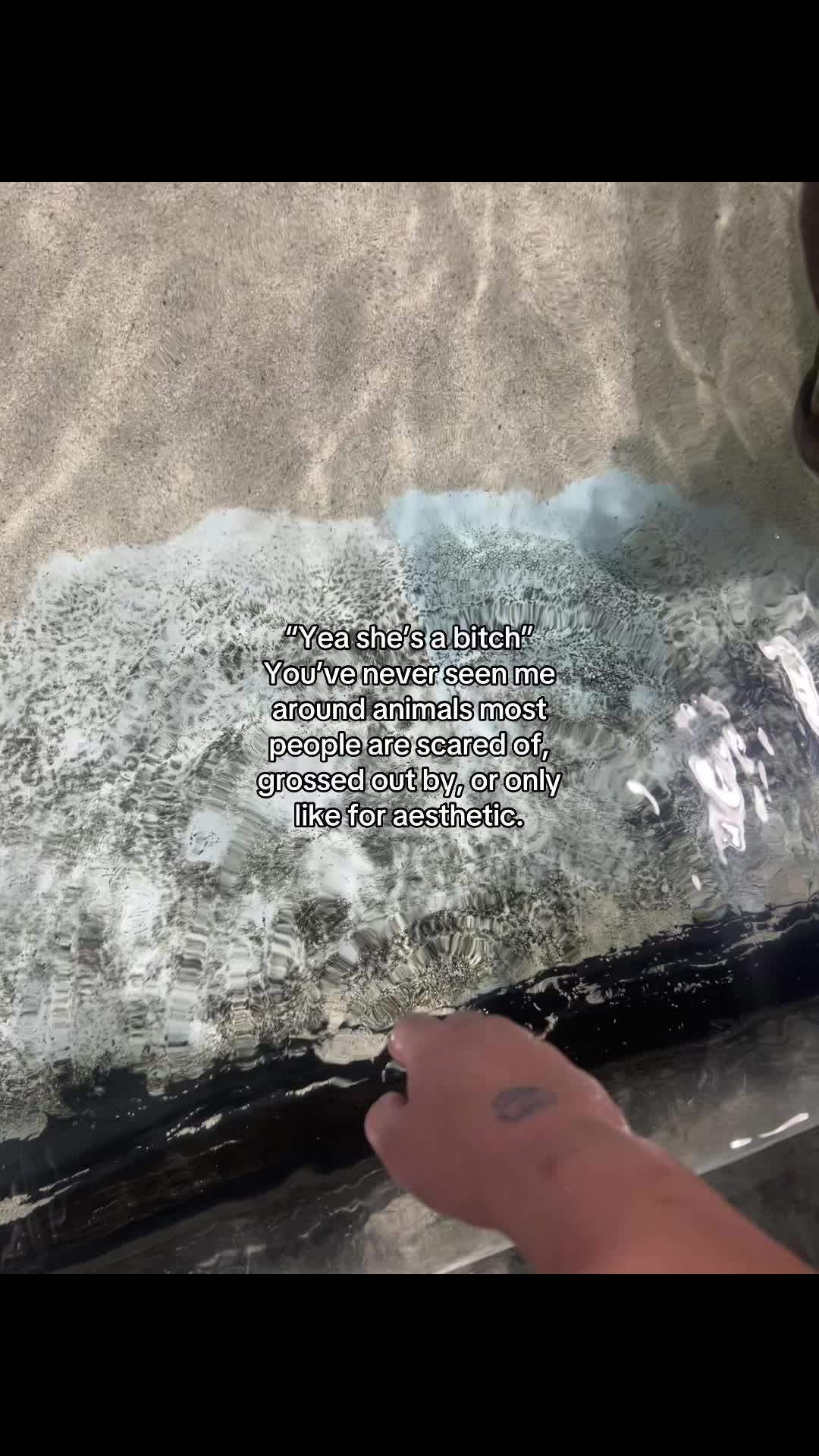 @noqueenjsgoddess
