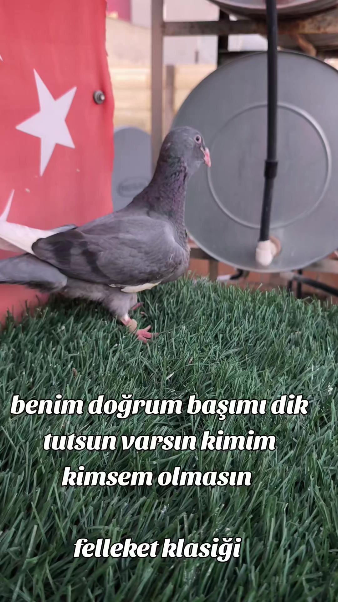 @0163Adanabatarkusu_federasyonu