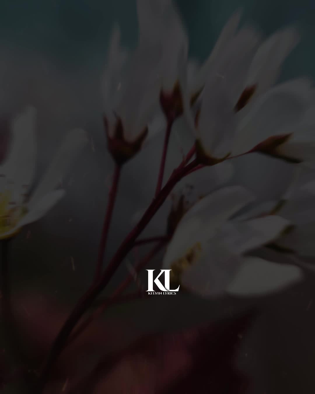 @๐๐๐๐ ๐๐
๐๐๐๐๐๐