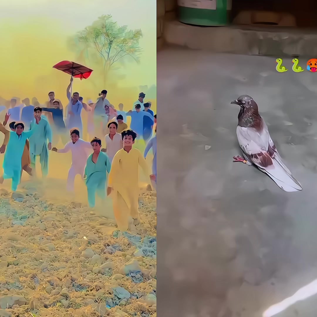 @ᴹʀ Ｓꪋⁿꪋ𝐮ไไꪋ𝚑