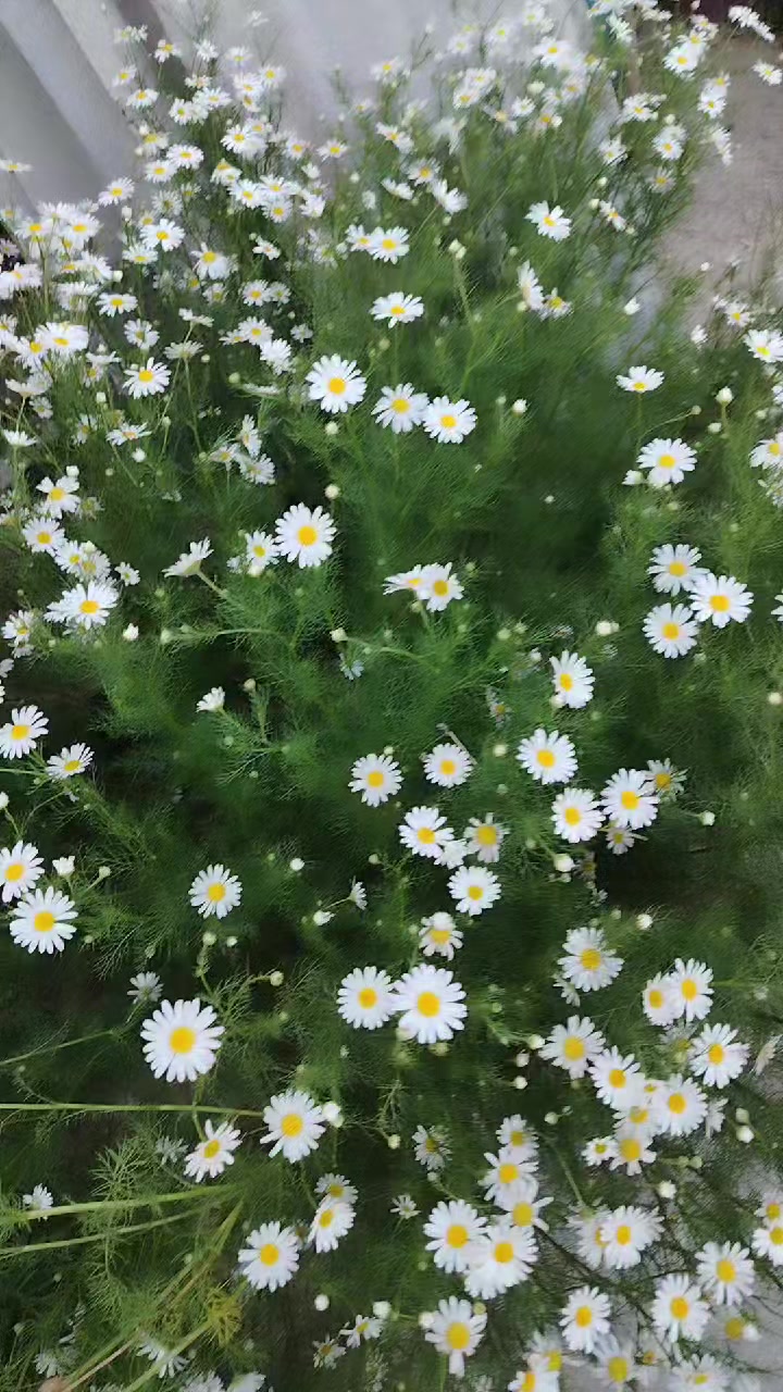 @Ədalət _Xirdalan_