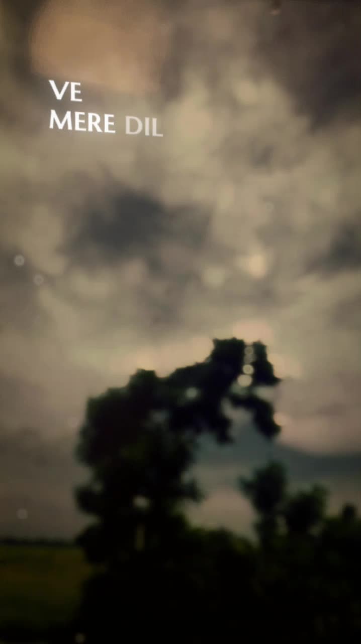 @🕊️