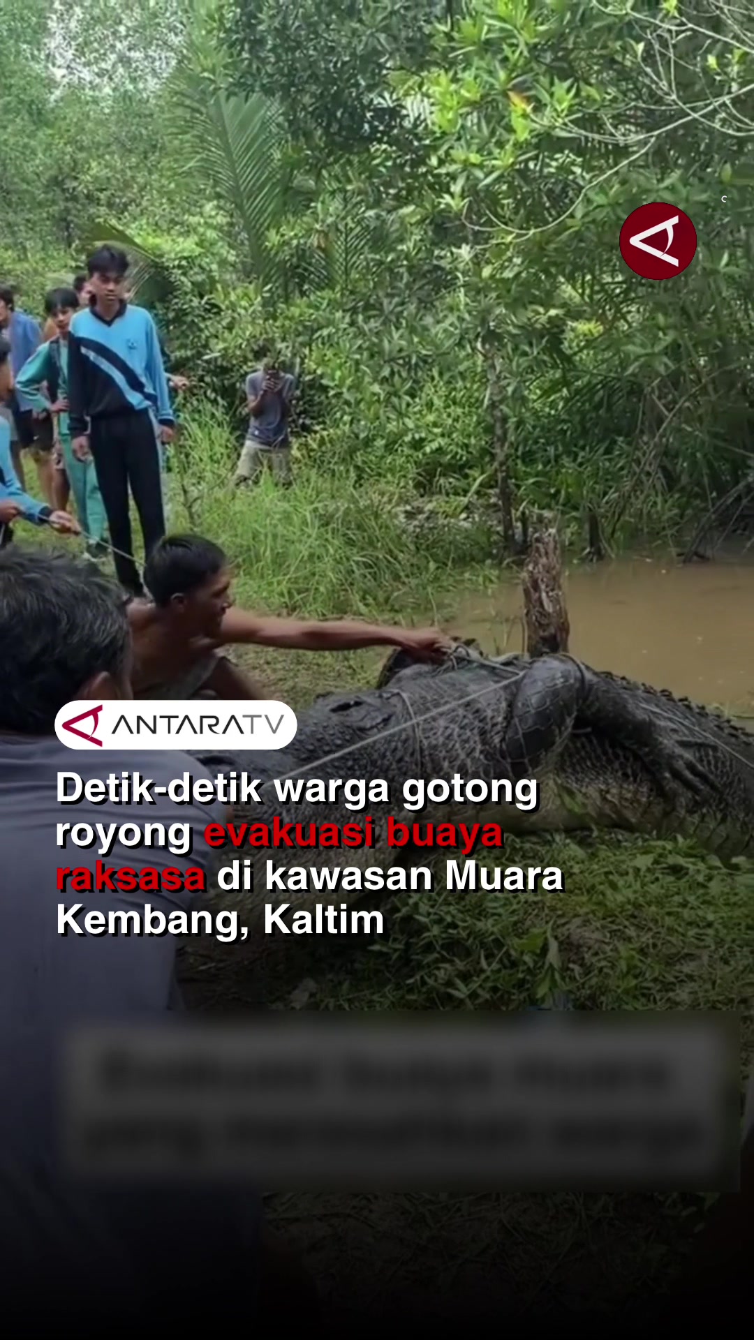 @Antara TV Indonesia