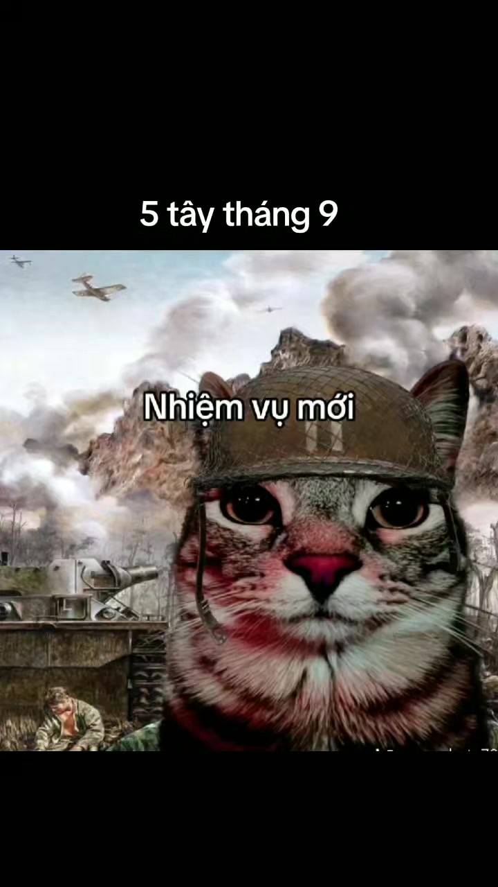 @tpminh