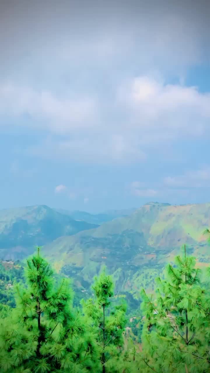 @عمر_ ³⁶⁹🪽