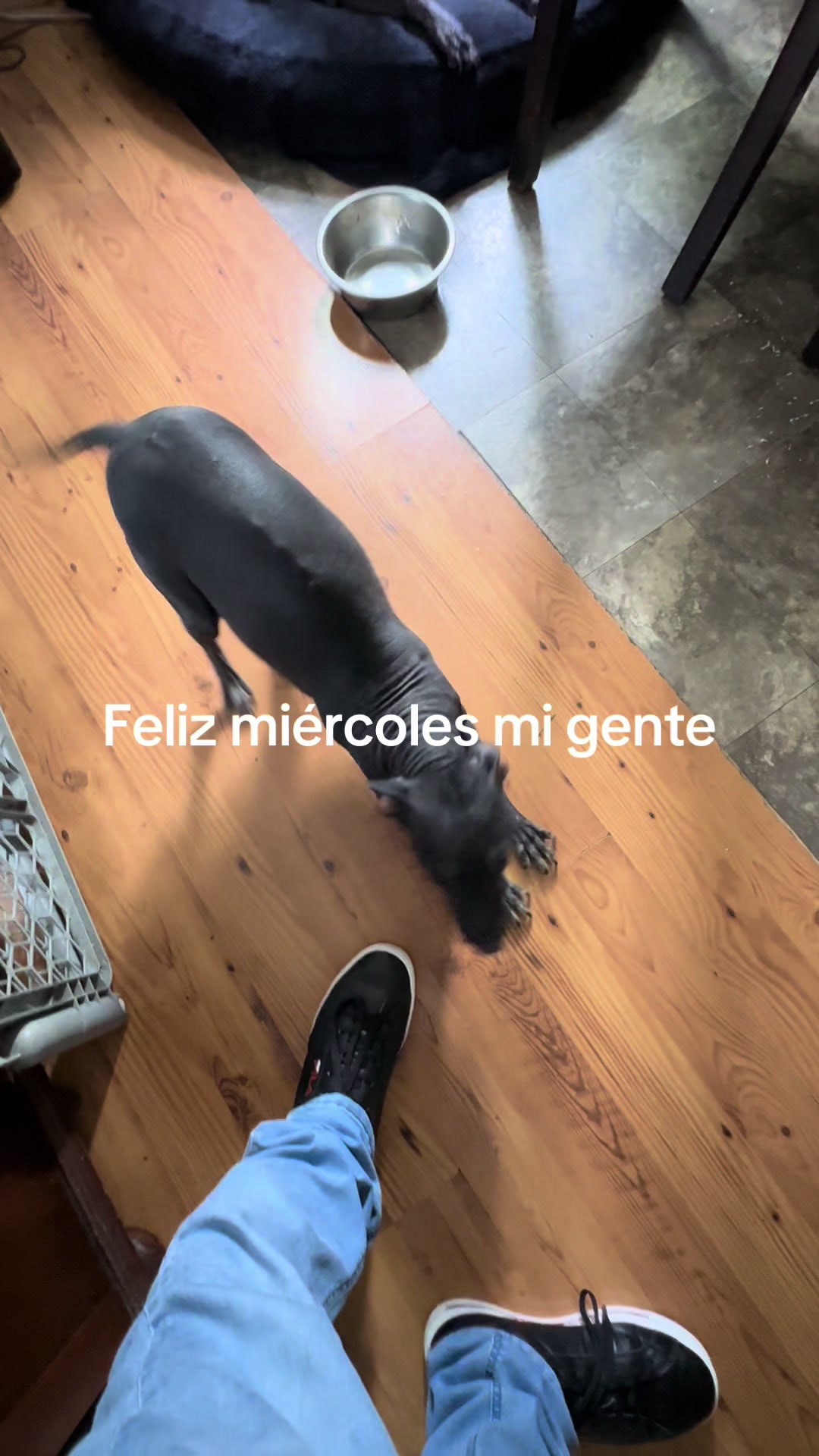 @Elcharitoopemex