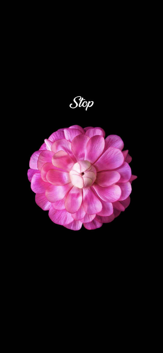 @𝐰𝐚𝐯𝐞