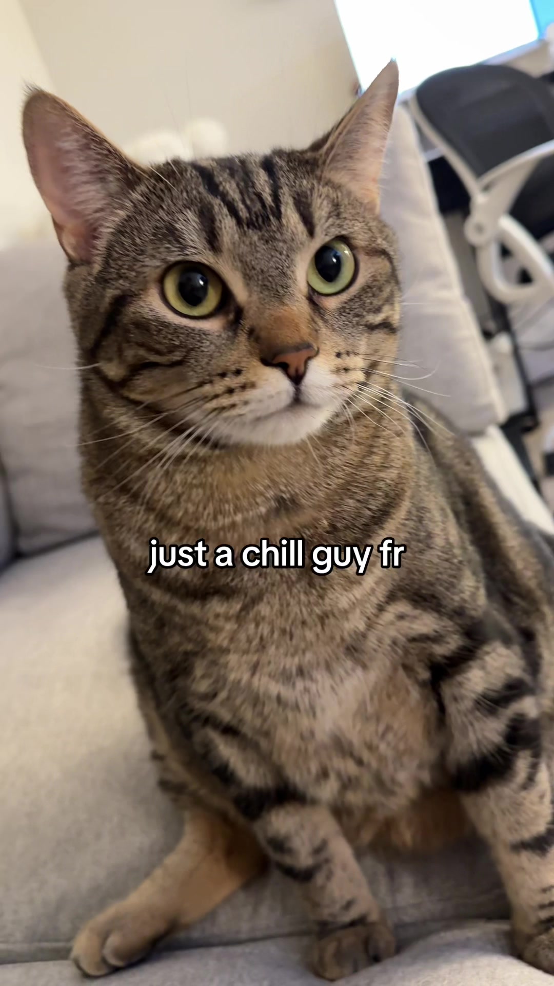 @Blawg