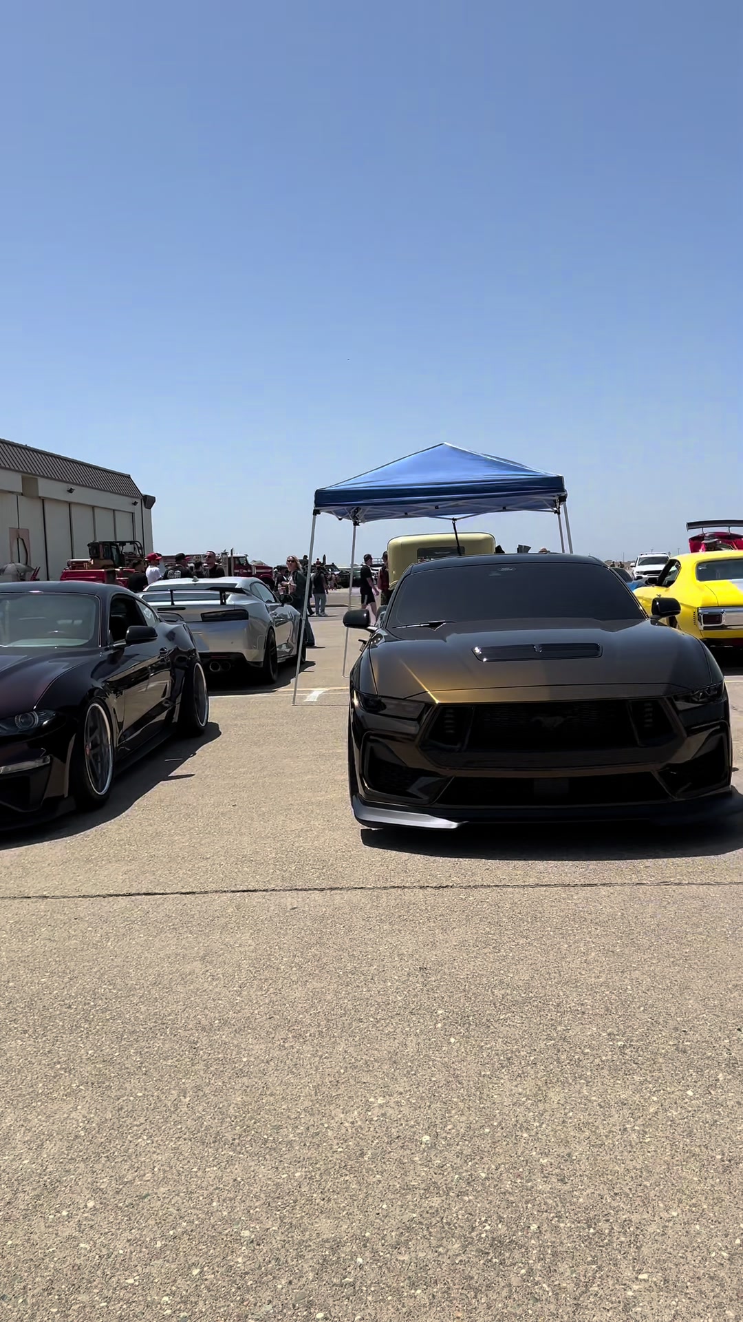 @Carlost