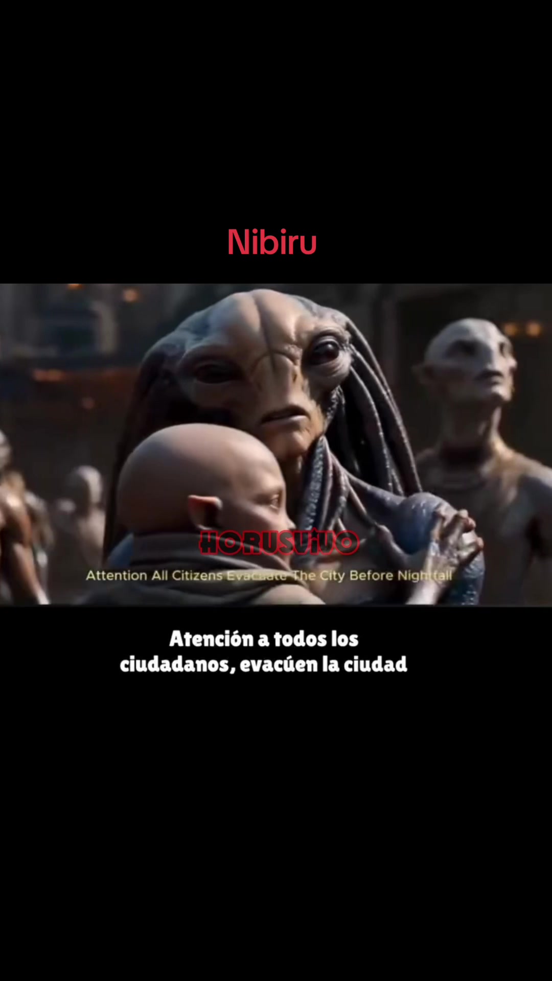 @horusvivo
