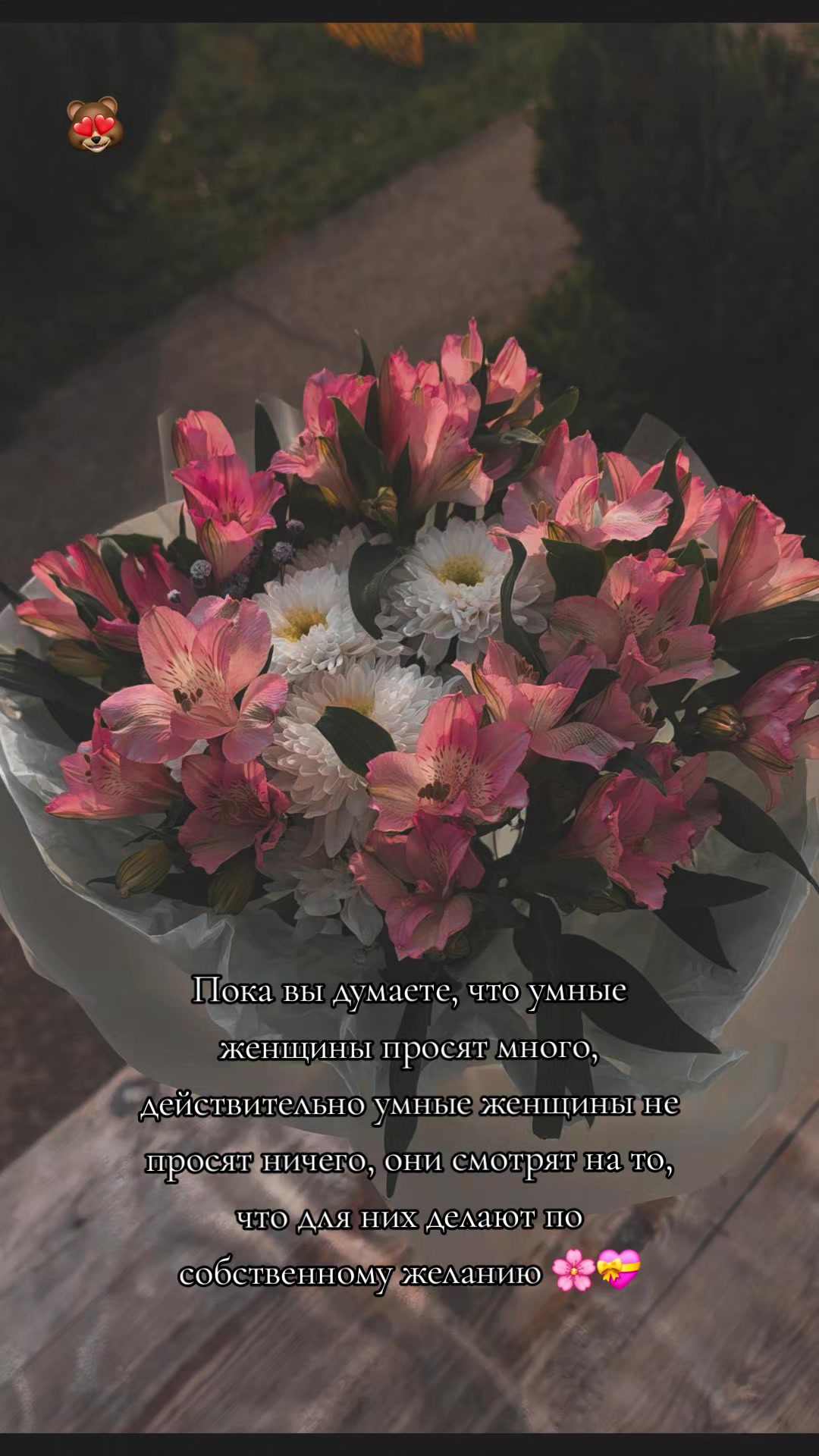 @🌸VeRoNiKa🌸
