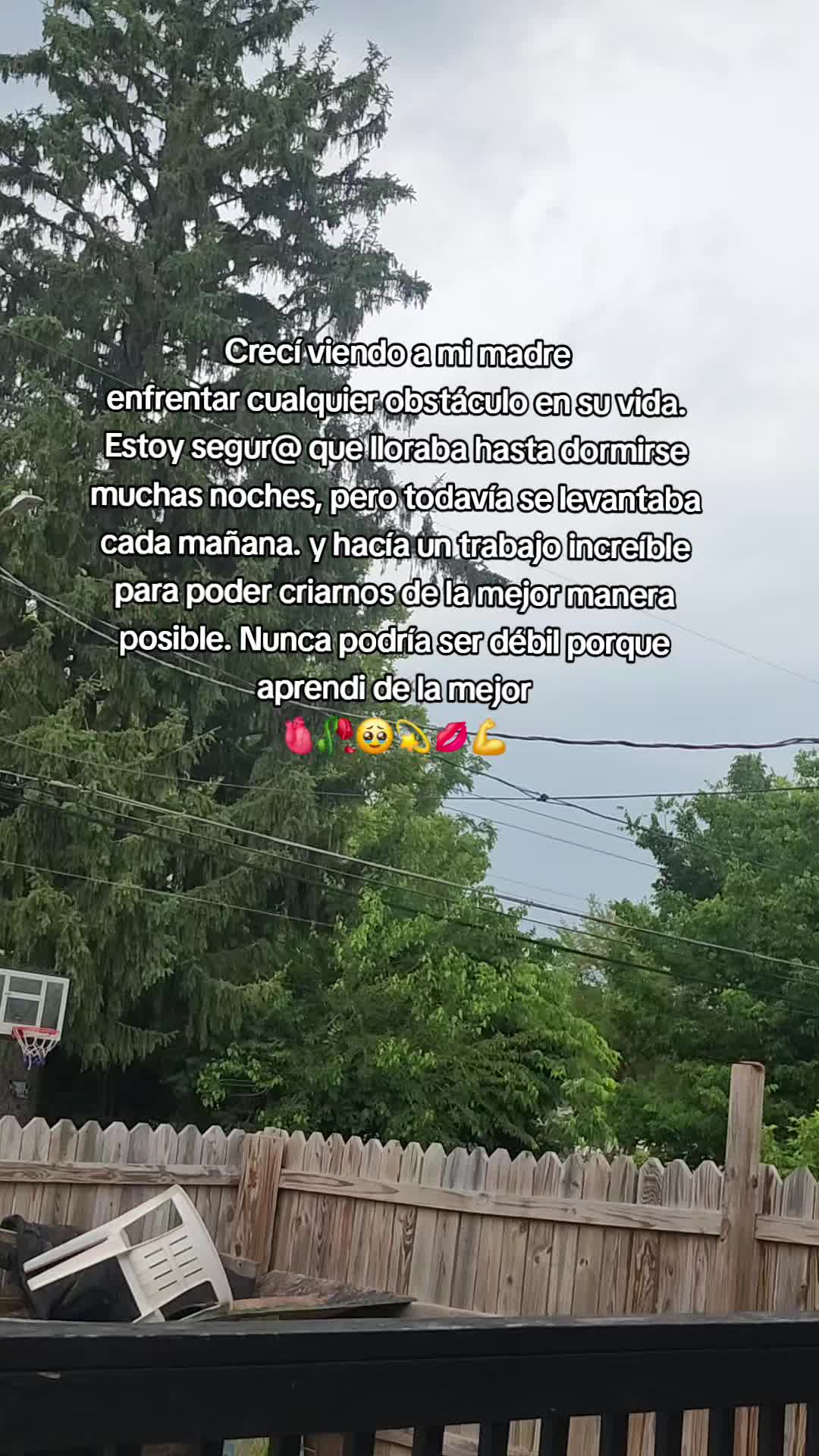 @odalis♡♤