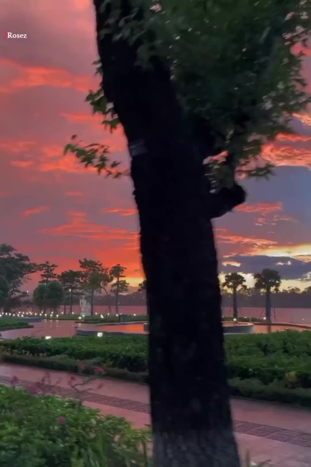 @𓂃♡ 𝓻𝓸𝓼𝓮𝔃 𝓵𝔂𝓻𝓲𝓬𝓼 🌙