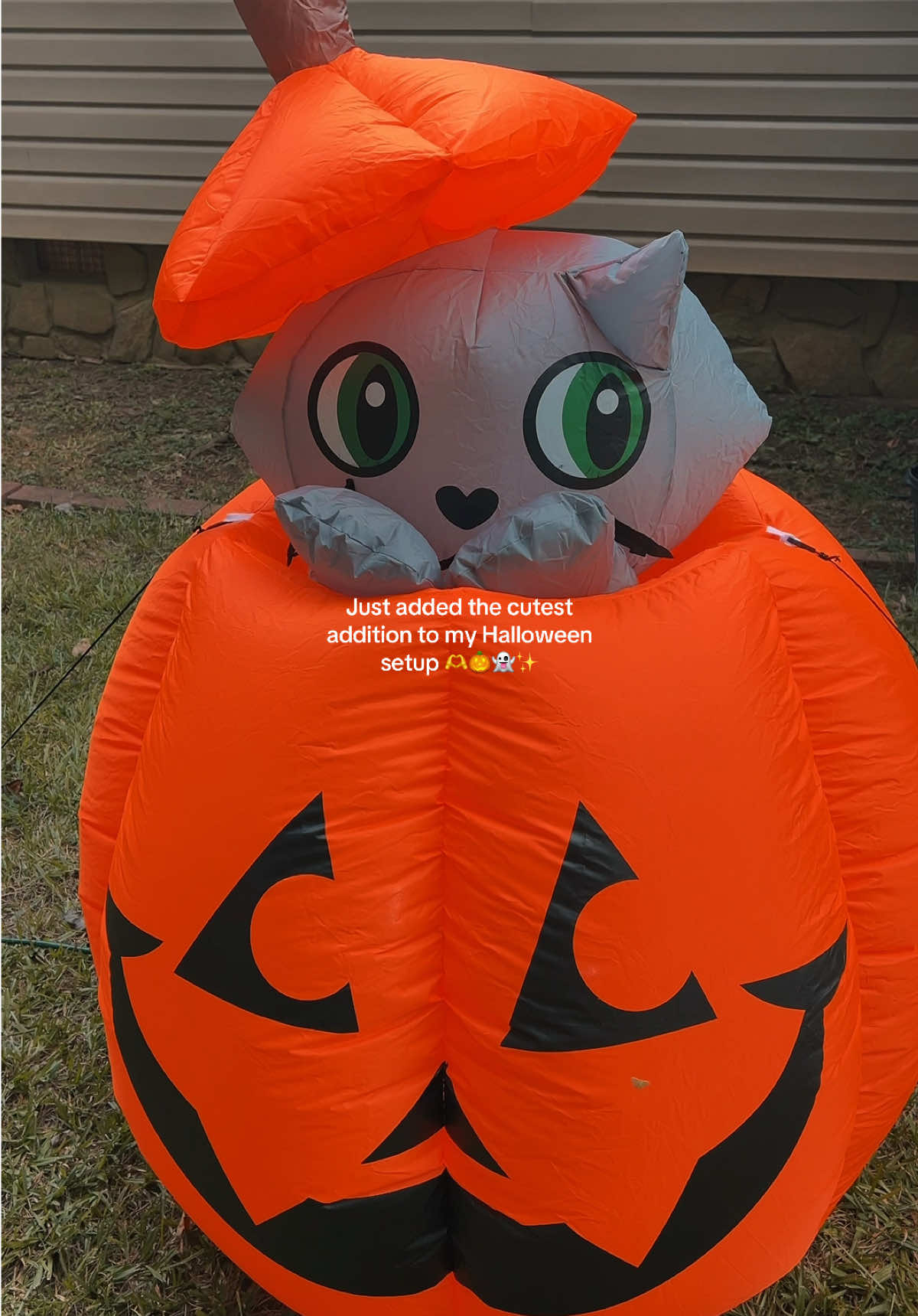 @Spooky Sara🦇🎃