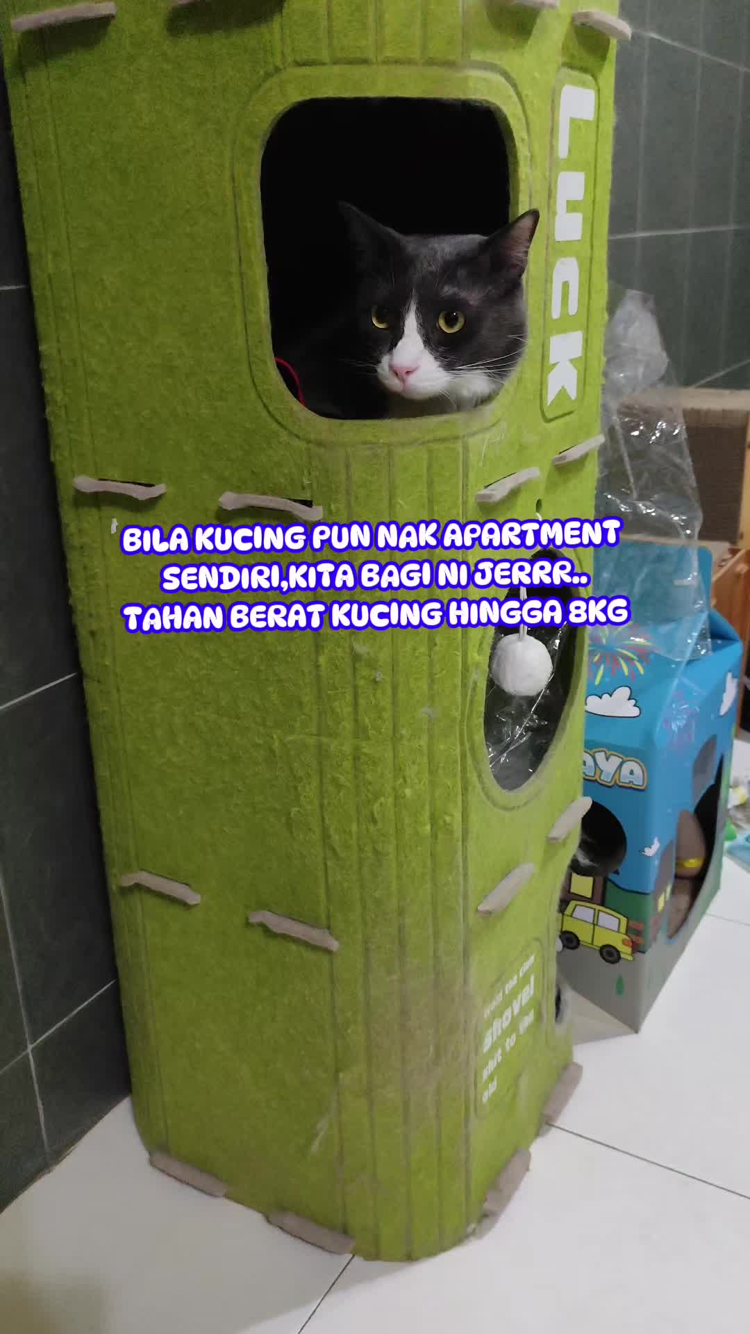 @Omma Kucing 🇲🇾🍉