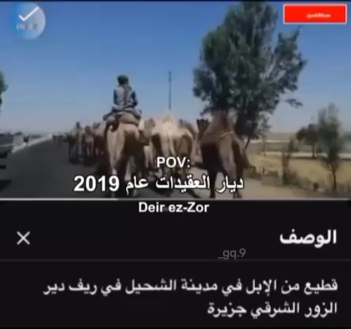 @شام الزبيدي
