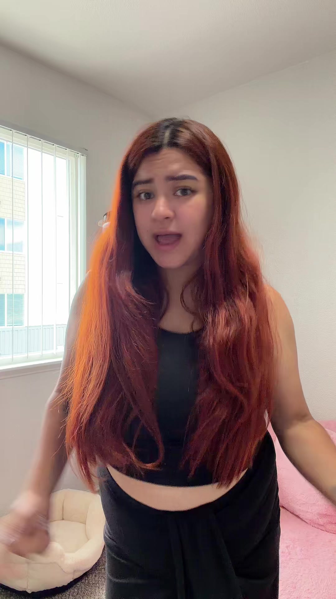 @sofireyesoficial