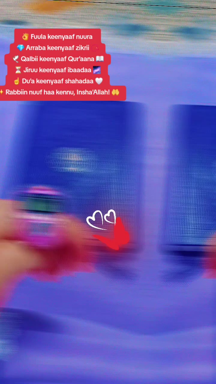 @โฅโโ๐๐ฆ ๐
๐๐๐๐ ๐ฆ๐