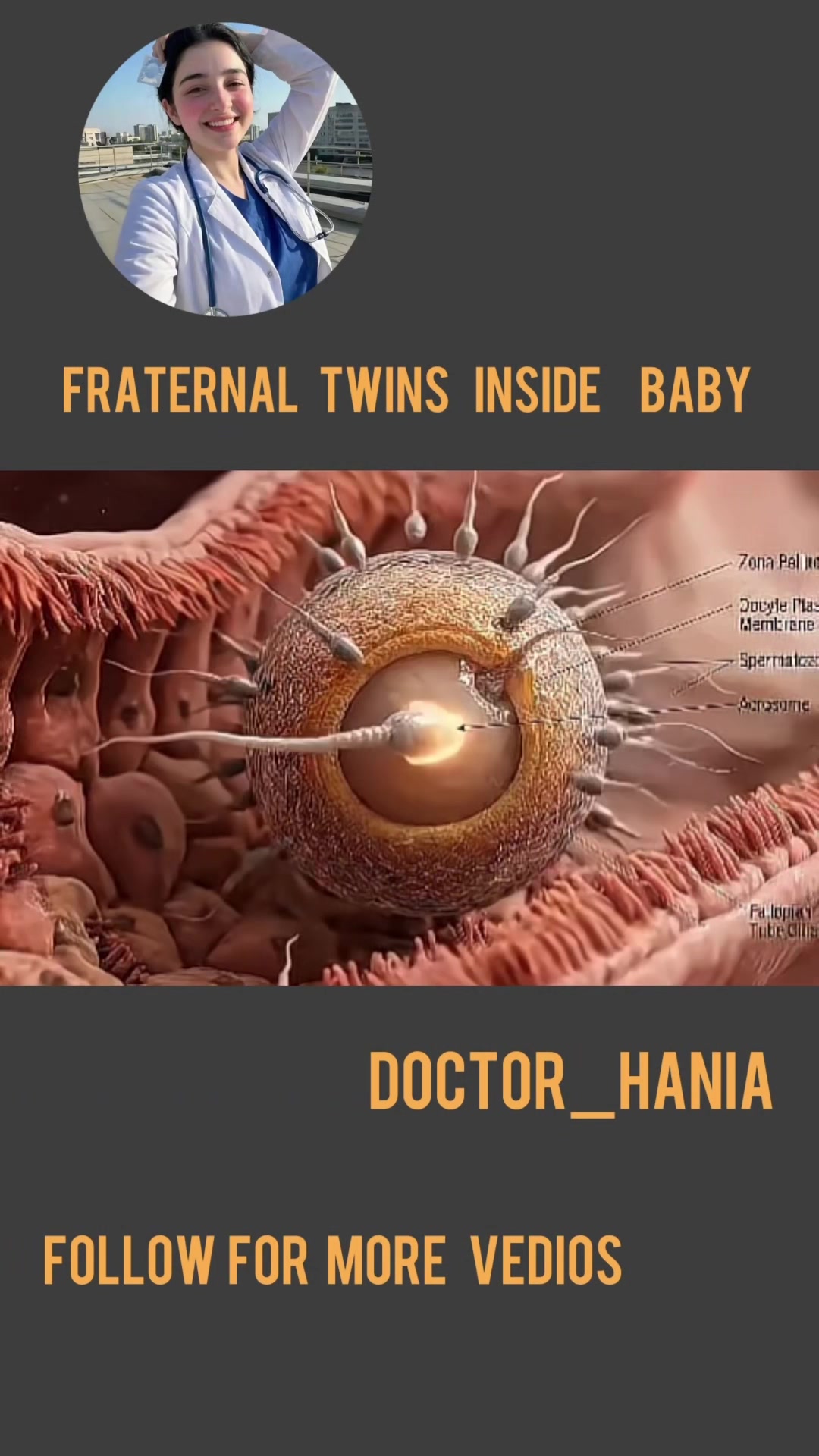 @Doctor Hania