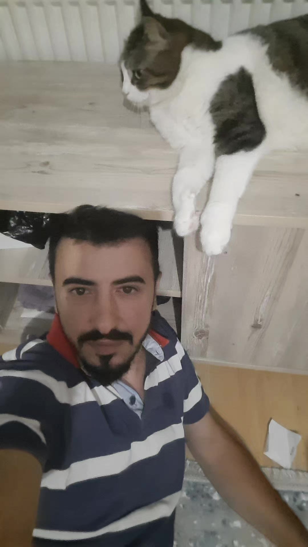 @Metin Doğan