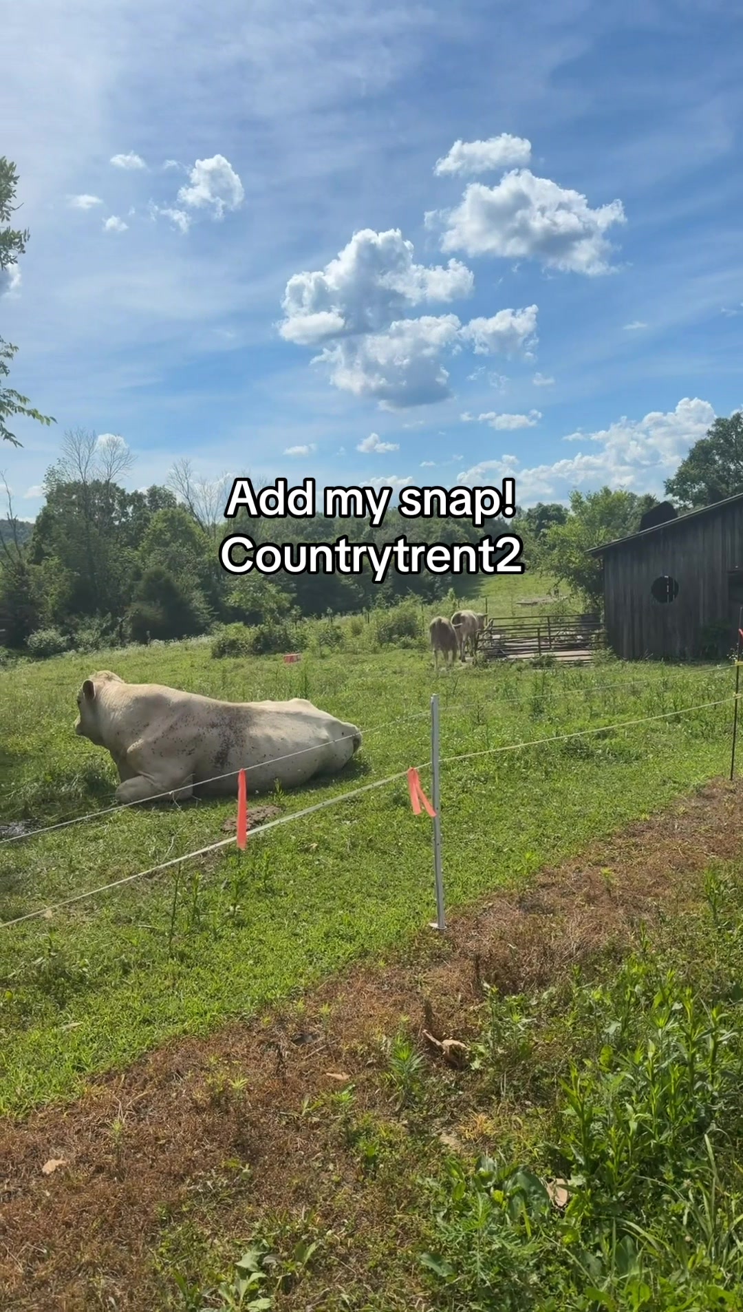 @Trent 🦌