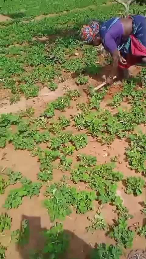 @Maruthupandi Pandi