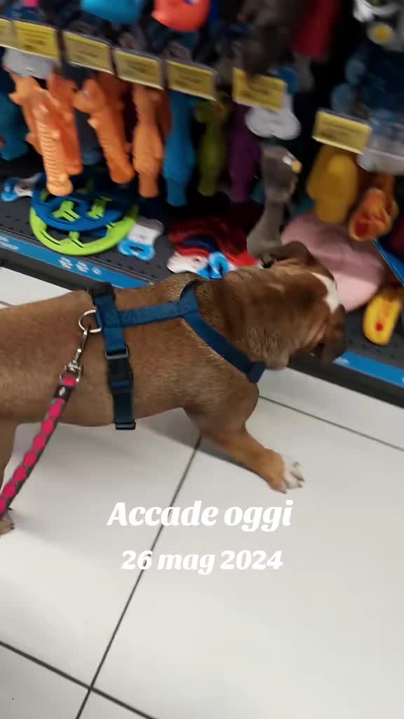 @Cri🐾M❤️rghy🐾labulla❤️