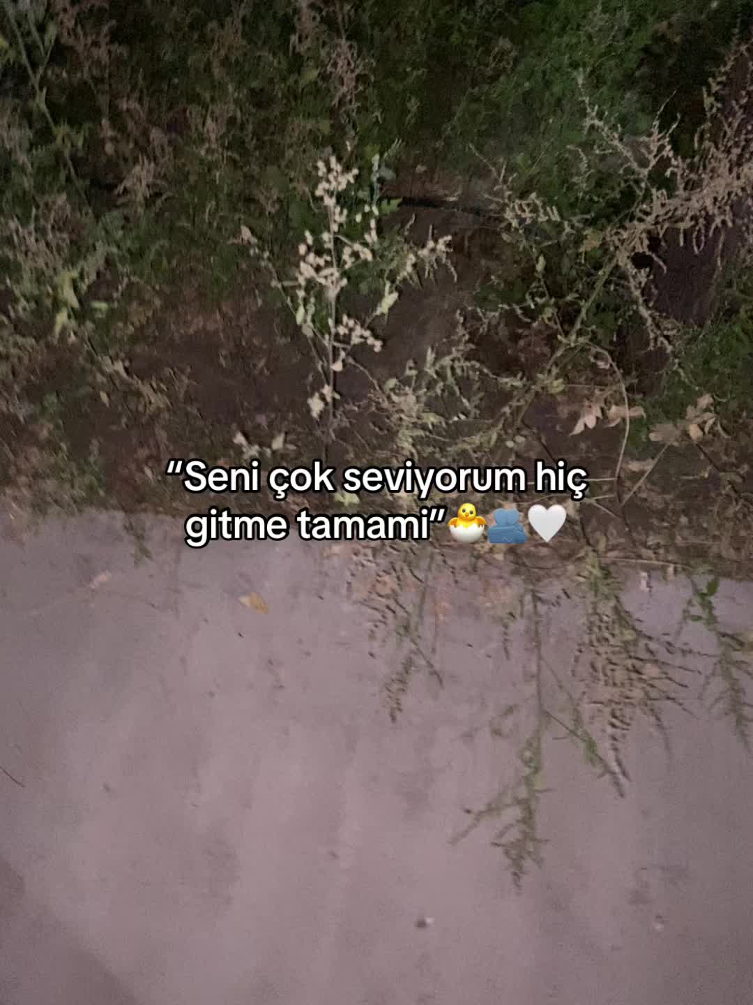 @İce_ℬℯ𝑔ℴ𝓈𝒽𖣂🎰