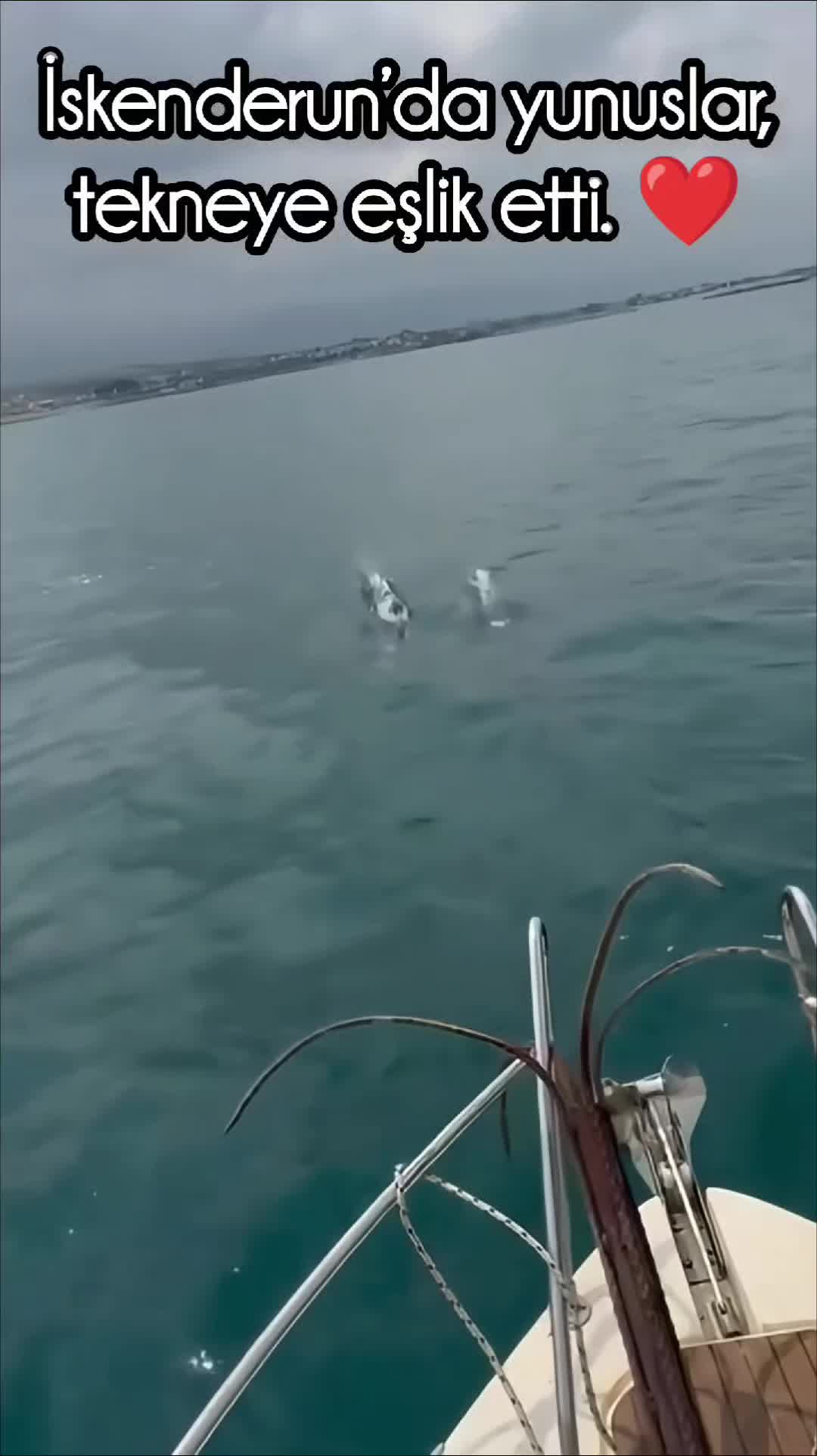 @iskenderunbülteni