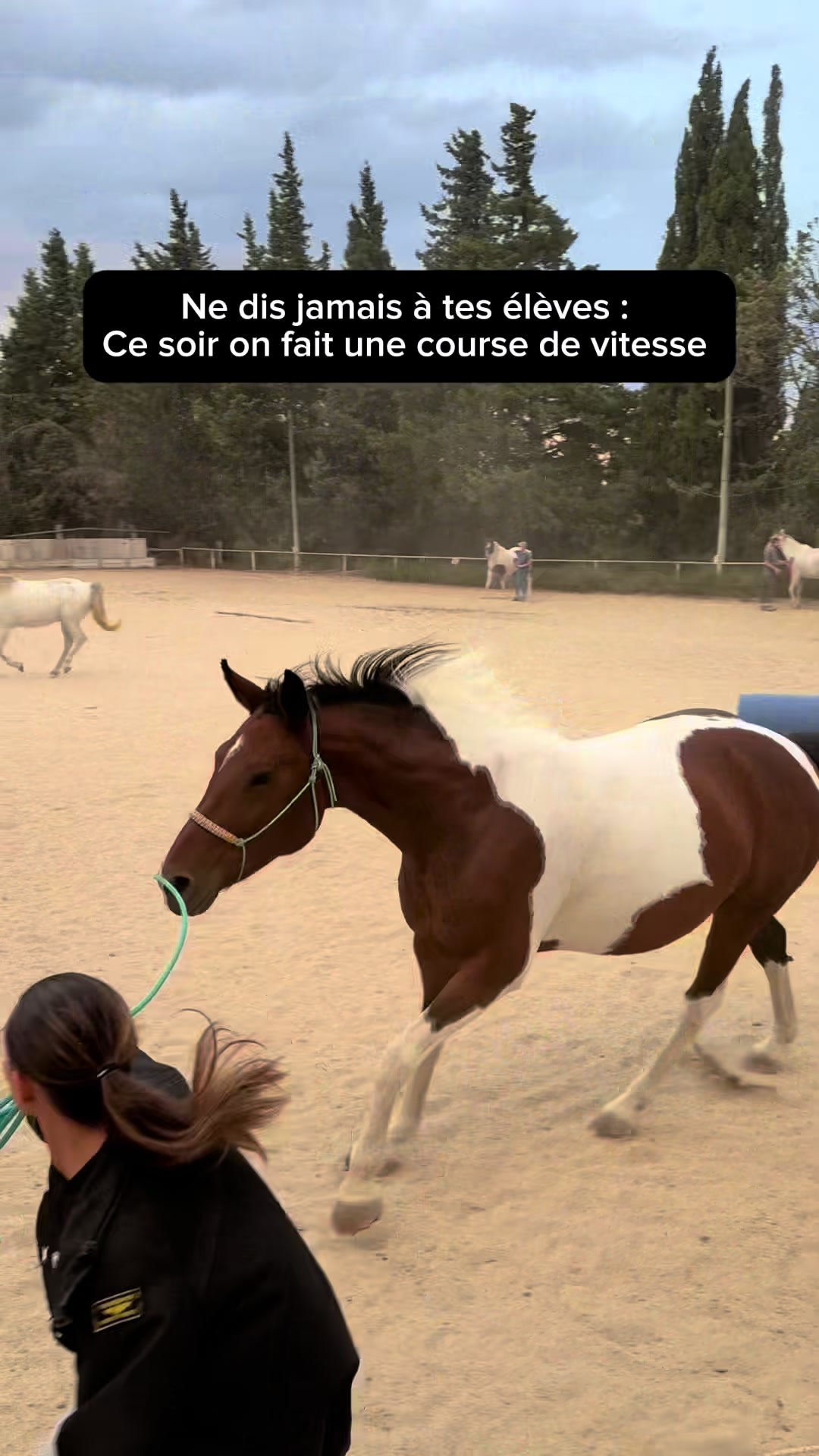 @LA PANTA Horse Ethic Ranch