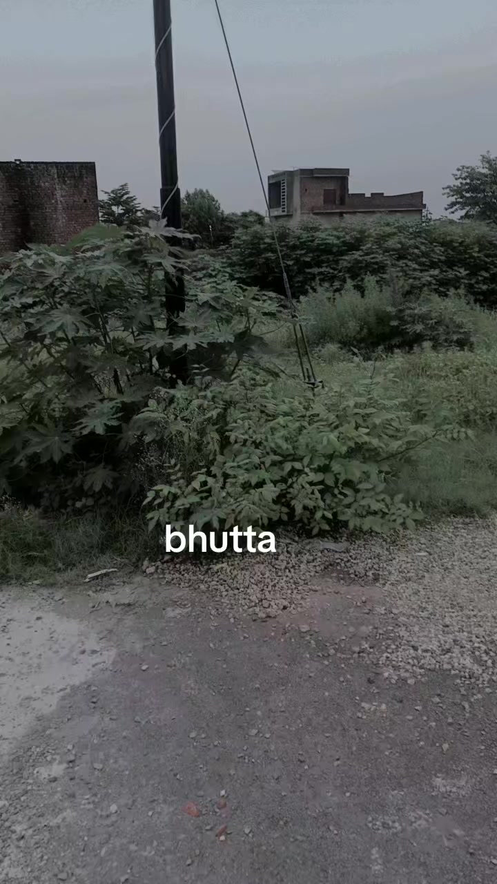 @j💘S bhutta sahab