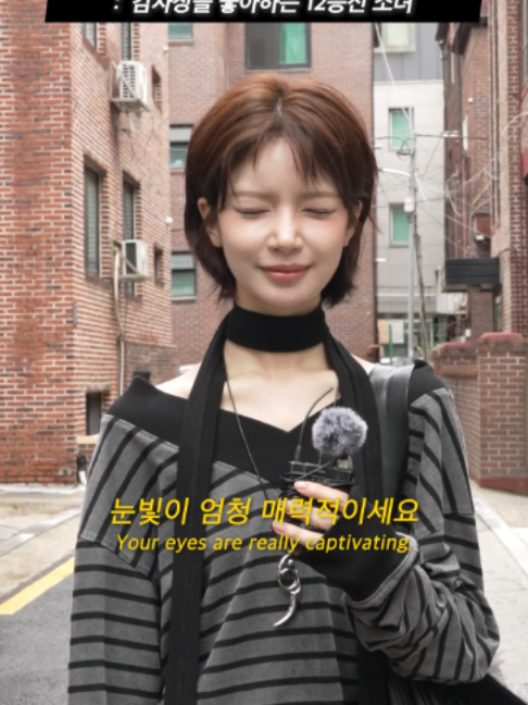 @하우머치 코리아 (HOWMUCH KOREA)